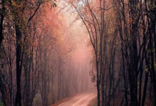 龙虎争霸！中国选手与韩国对手对决决定胜负